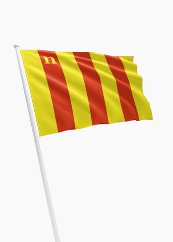 Vlag gemeente Niel