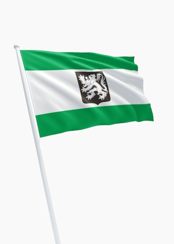 Vlag gemeente Merksplas