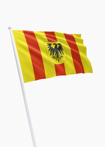 Vlag gemeente Mechelen