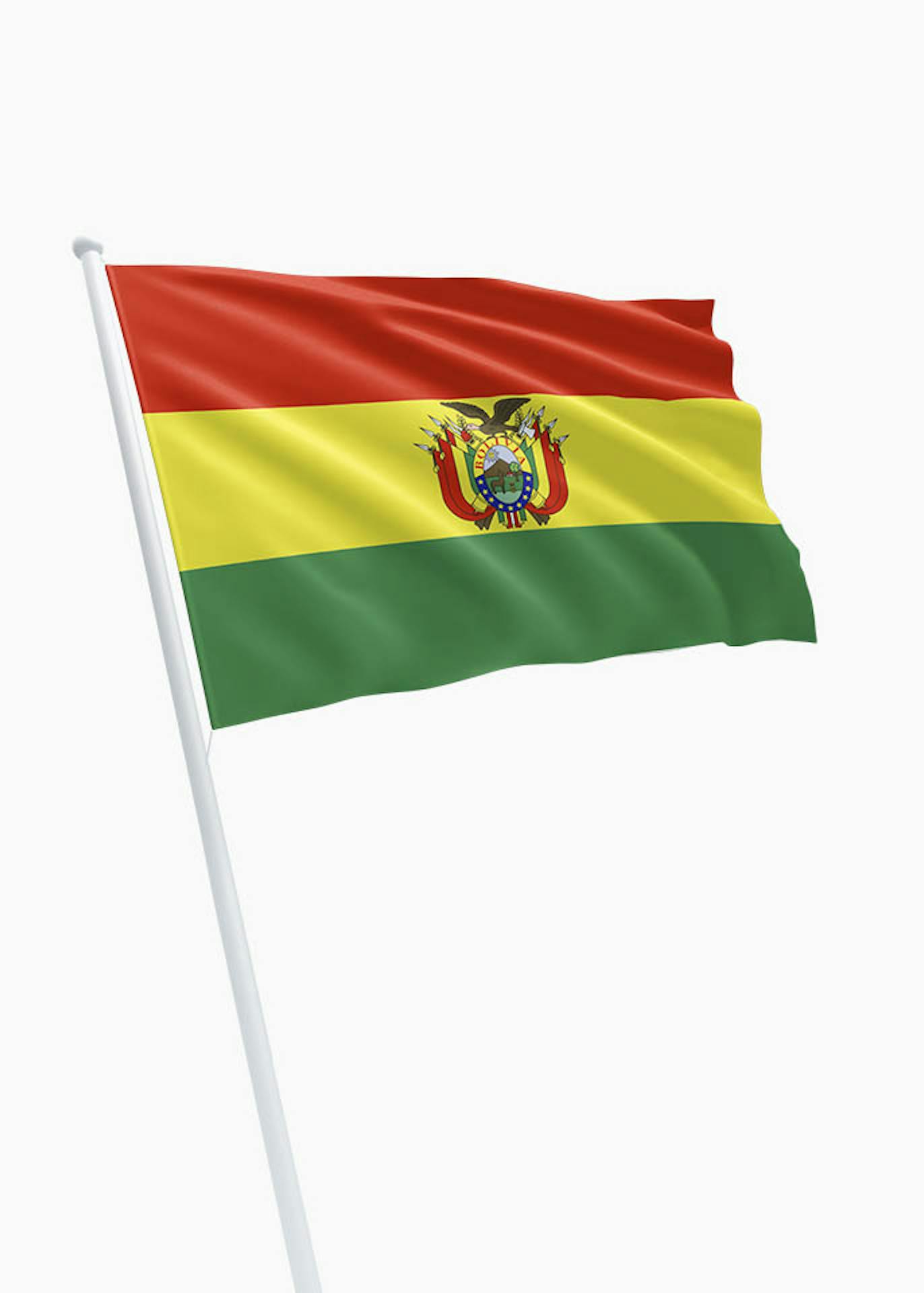 uit etnisch Ontdooien, ontdooien, vorst ontdooien Boliviaanse vlag kopen? Dé specialist in vlaggen! - DVC