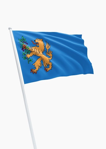 Vlag gemeente Brummen
