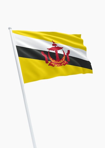 Brunese vlag huren