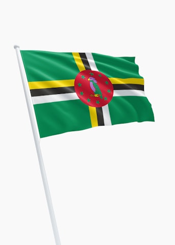 Dominicaanse vlag