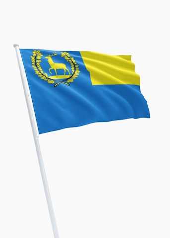Vlag gemeente Epe