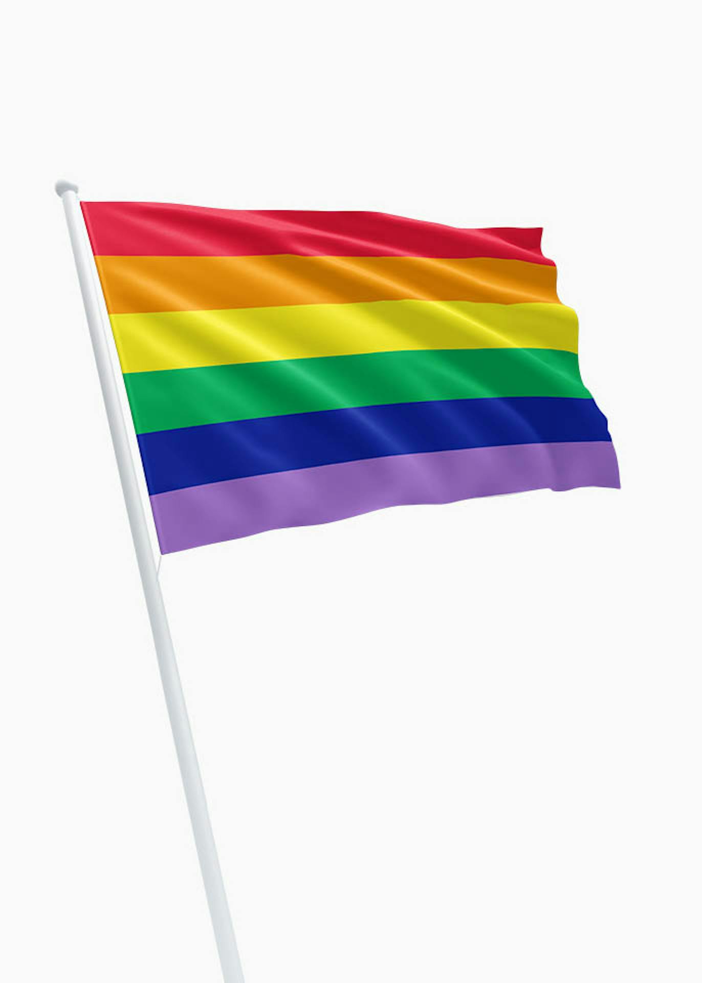 Evalueerbaar tint werkloosheid Gay Pride Regenboogvlag kopen? Dé specialist in vlaggen! - DVC