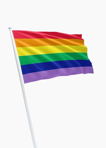 Gay Pride Regenboogvlag