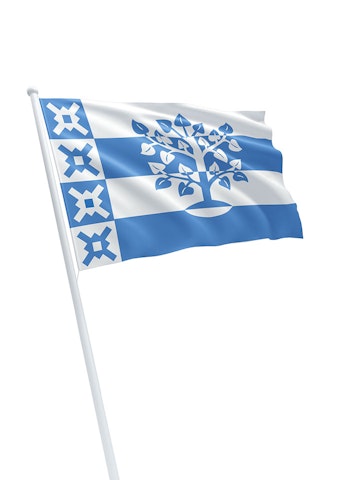 Vlag gemeente Haaren