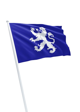 Vlag gemeente Heemskerk