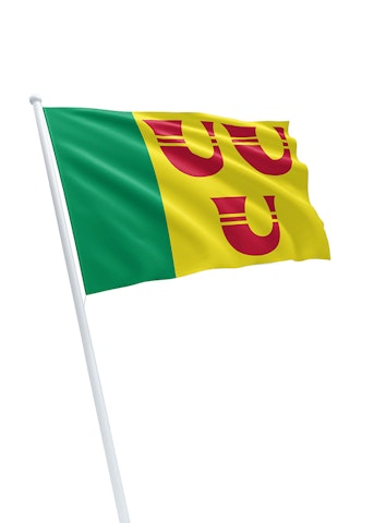 Vlag gemeente Heeze-Leende