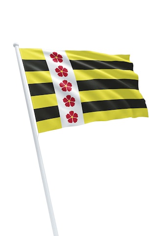 Vlag gemeente Horst aan de Maas