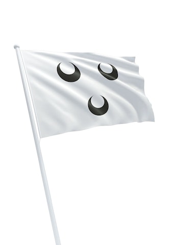 Vlag gemeente Oosterhout