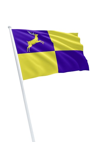 Vlag gemeente Putten