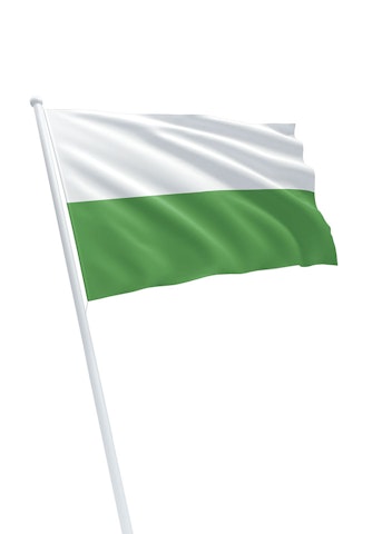 Vlag gemeente Ridderkerk