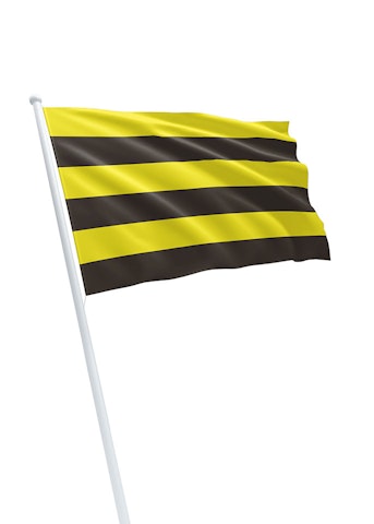 Vlag gemeente Schiedam