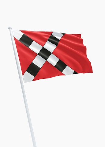 Vlag gemeente Veghel