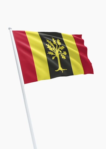 Vlag gemeente Waalwijk