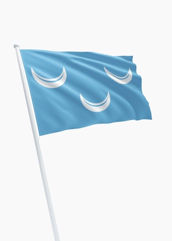 Vlag gemeente Wassenaar