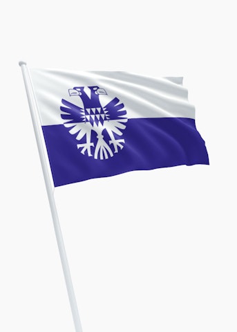 Vlag gemeente Arnhem