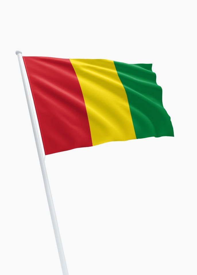 Guinese vlag kopen? specialist in vlaggen! DVC