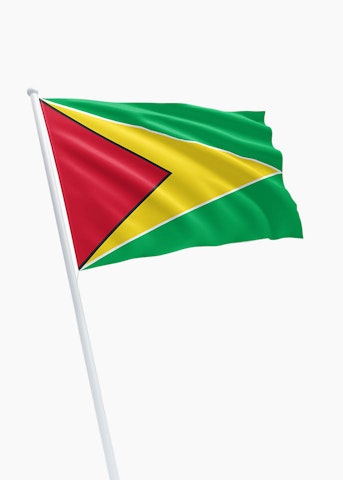 Guyaanse vlag huren