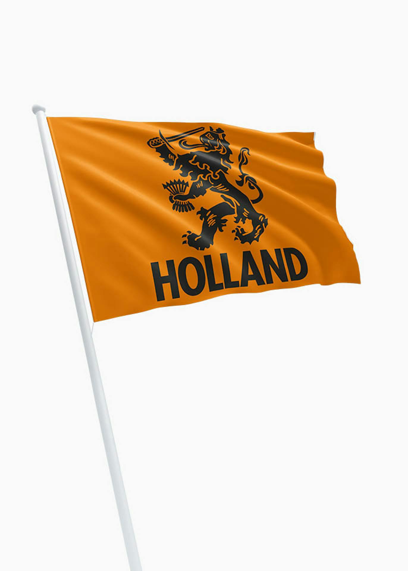 Hollandse Leeuw - Speciaal voor het EK DVC