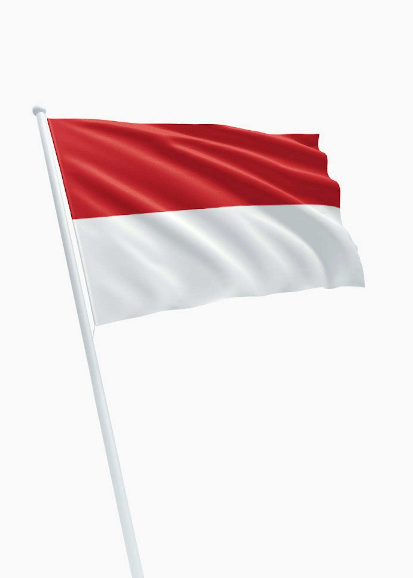 burgemeester Amazon Jungle landbouw Indonesische vlag kopen? Dé specialist in vlaggen! - DVC