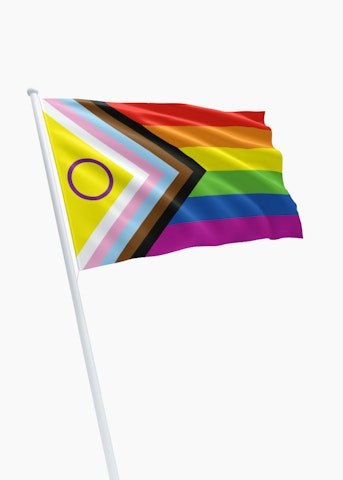 Intersekse Progress vlag