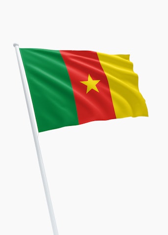 Kameroense vlag