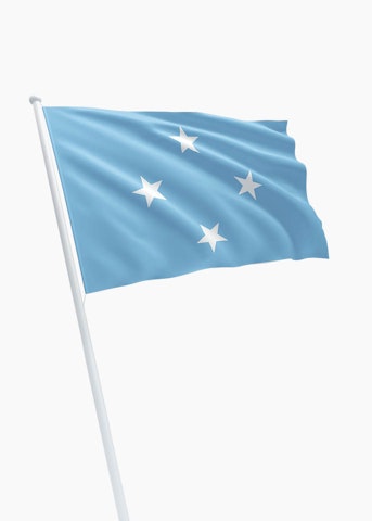 Micronesische vlag