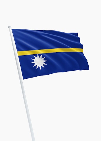 Nauruaanse vlag
