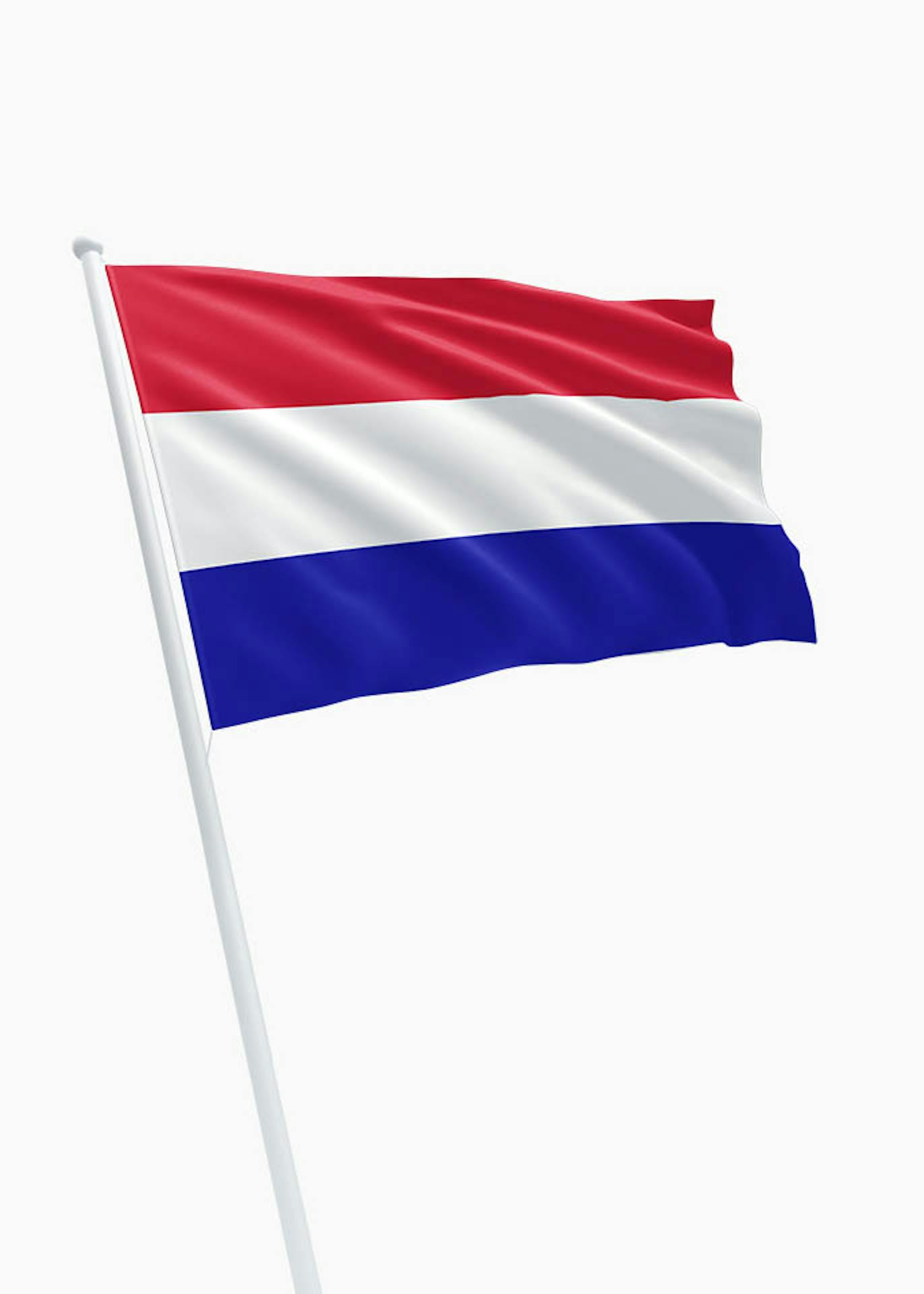 Vleien harpoen gewicht Nederlandse vlag kopen? Dé specialist in vlaggen! - DVC