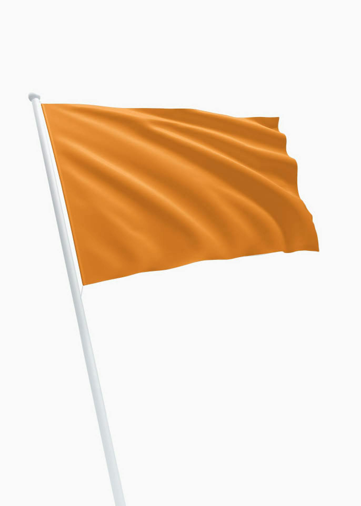 Demonstreer boter Enten Oranje vlag - Online bestellen - DVC