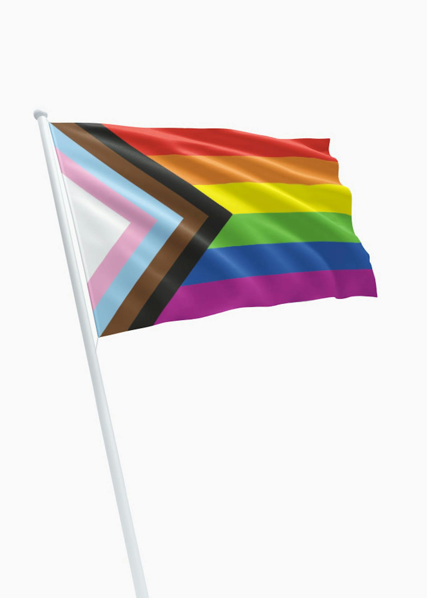 deze samenzwering sarcoom Progress Flag - Regenboogvlag | DVC | Online bestellen