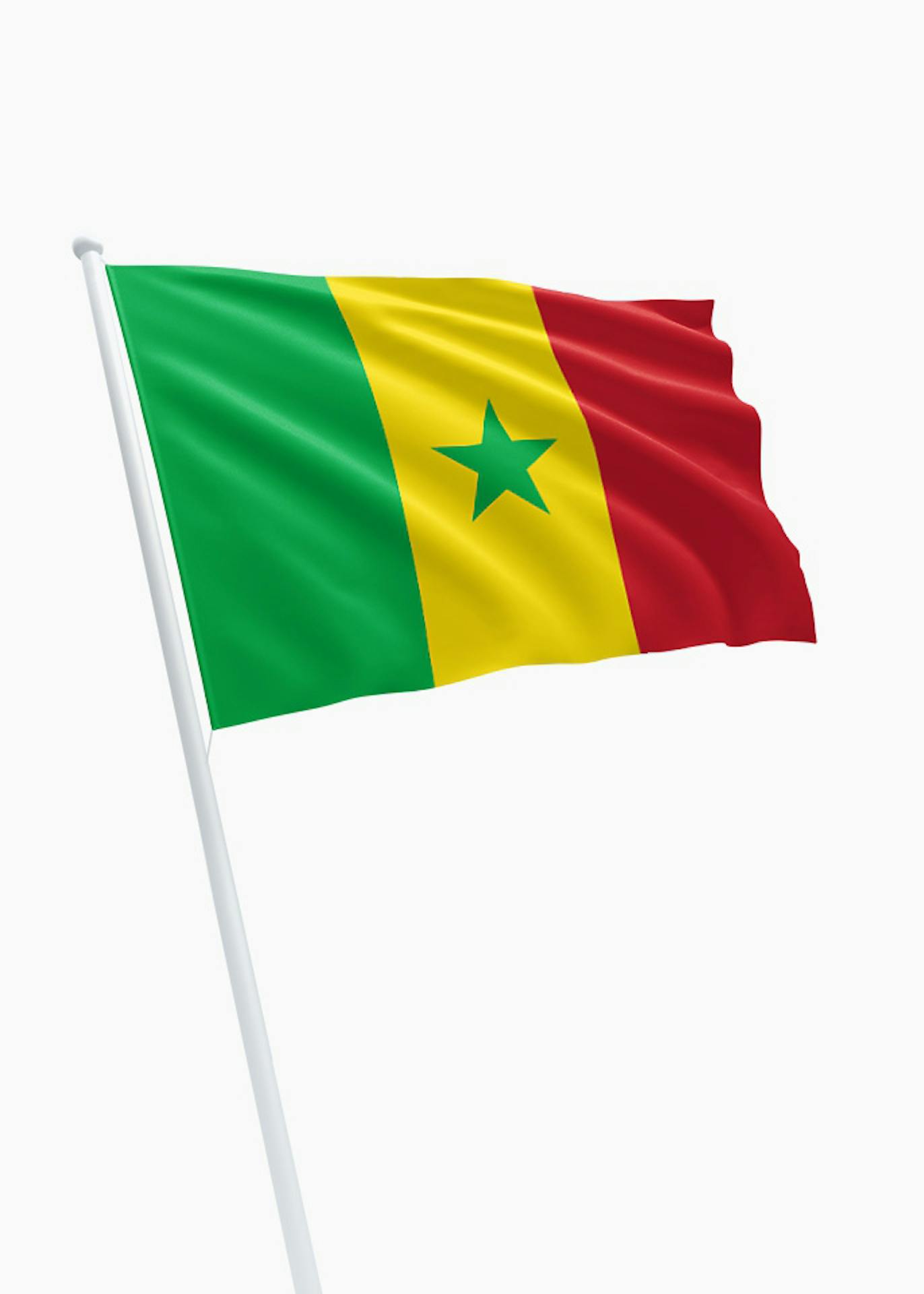 Trillen Verouderd aanplakbiljet Huurvlag Senegal - Online bestellen - DVC.nl
