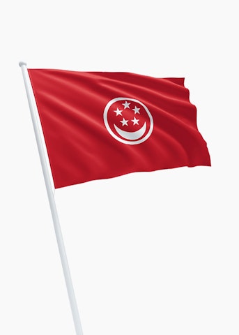 Singaporese koopvaardij rechtformaat vlag