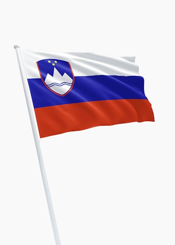 Sloveense vlag