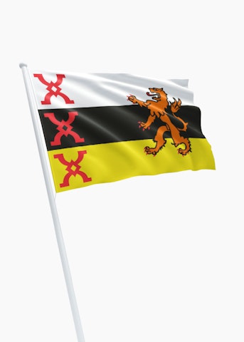 Vlag gemeente Someren