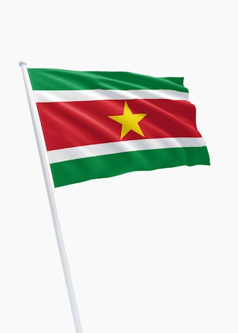 Surinaamse vlag huren