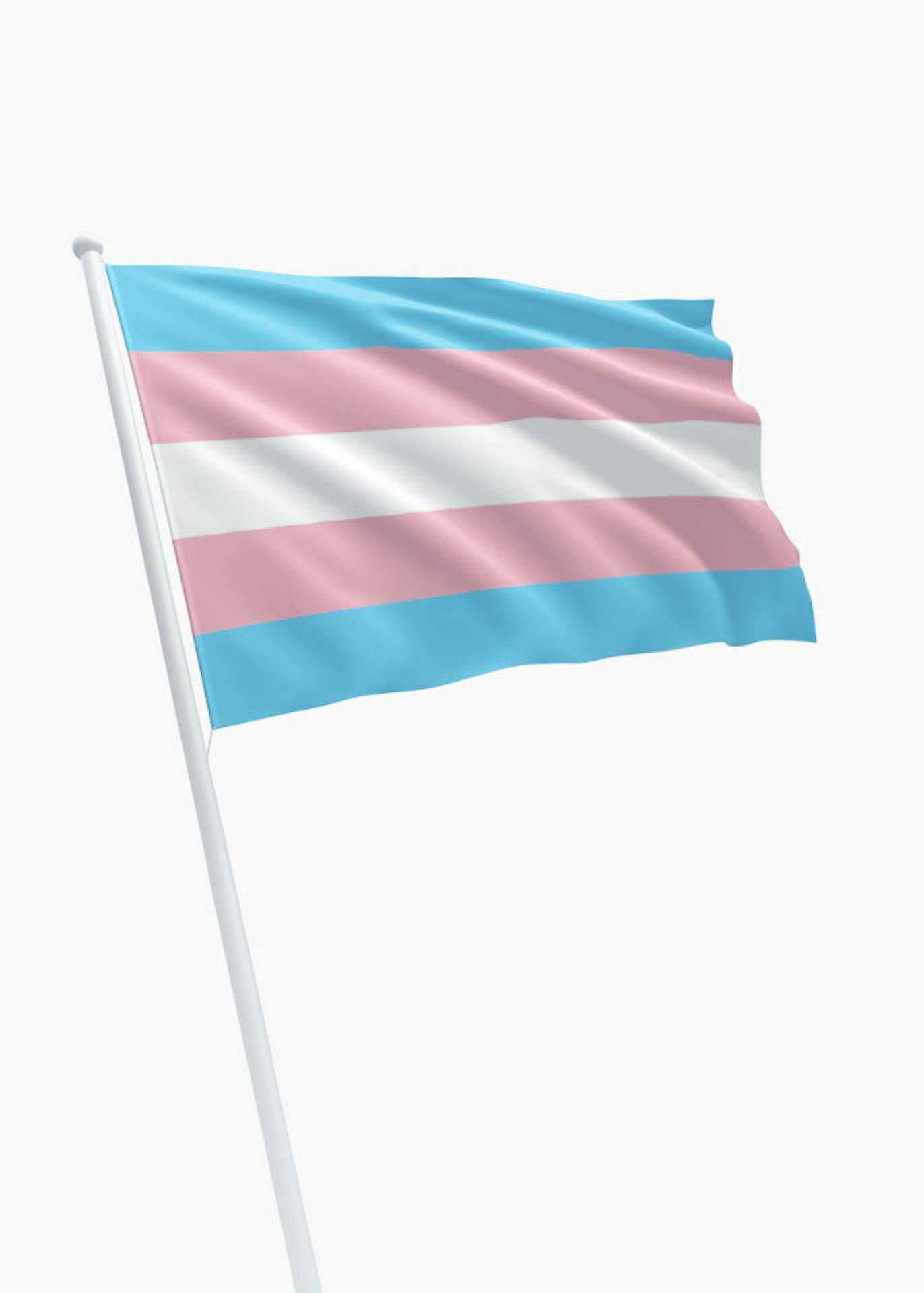schraper tofu bitter Transgender vlag - online bestellen - DVC