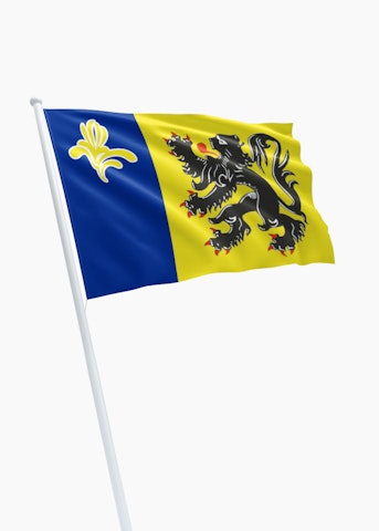 Vlag Vlaamse Gemeenschap in Brussels Hoofdstedelijk Gewest