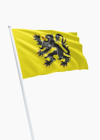 Vlag Vlaamse Gemeenschap in Vlaams Gewest