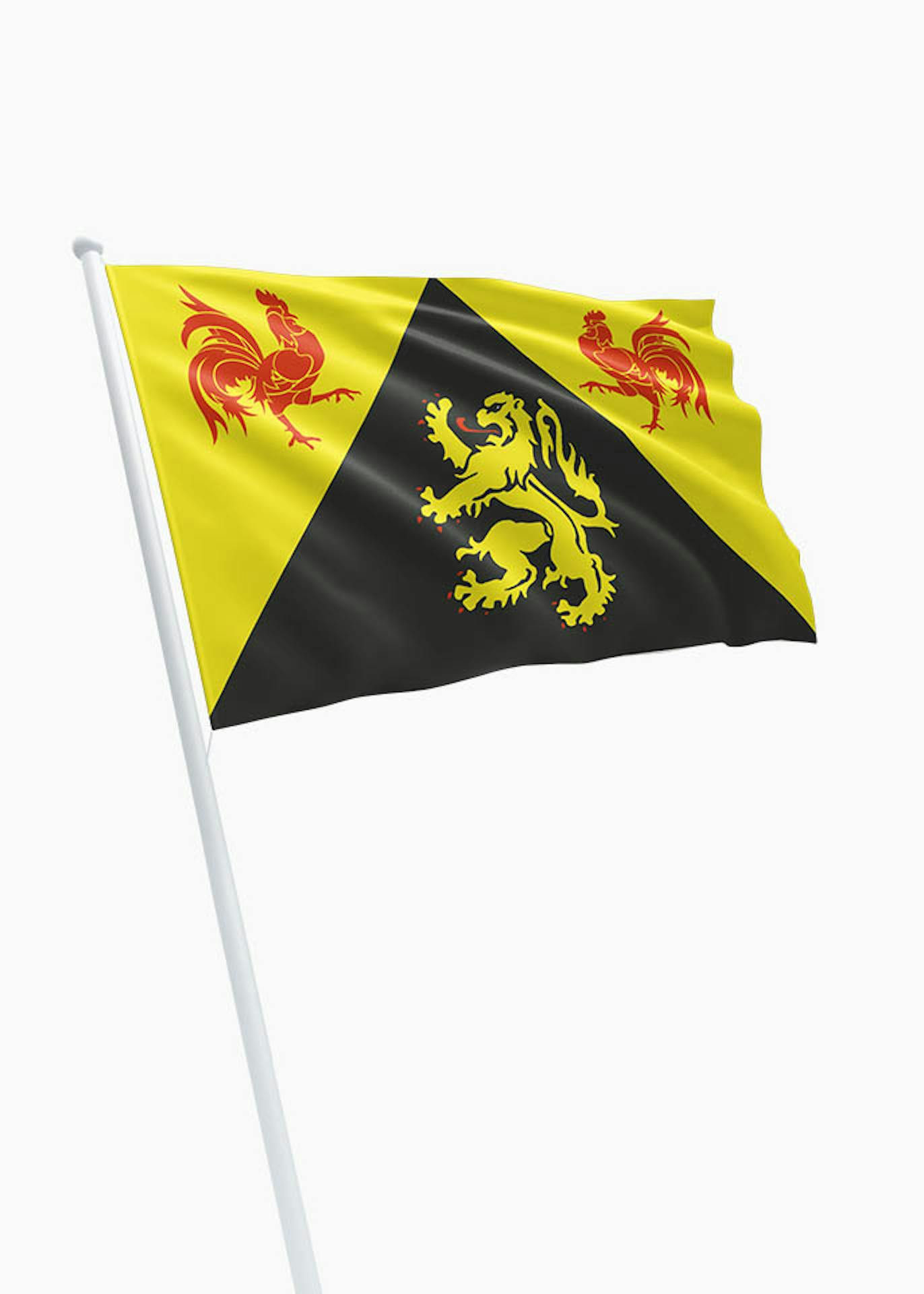 Vlag provincie Waals-Brabant kopen? Dé specialist vlaggen! - DVC