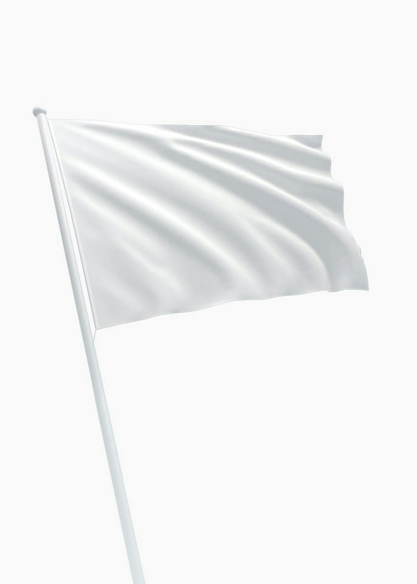 omvatten atoom Ook Witte vlag - Online bestellen - DVC
