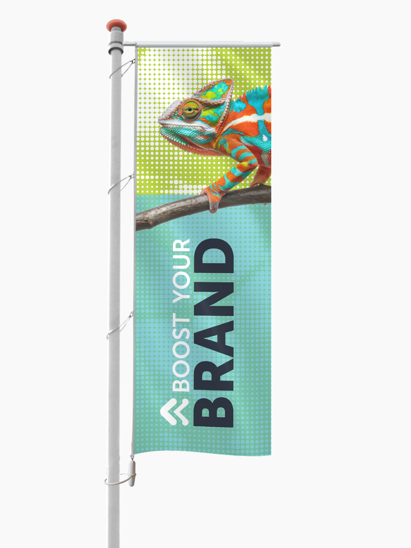 Baniervlag