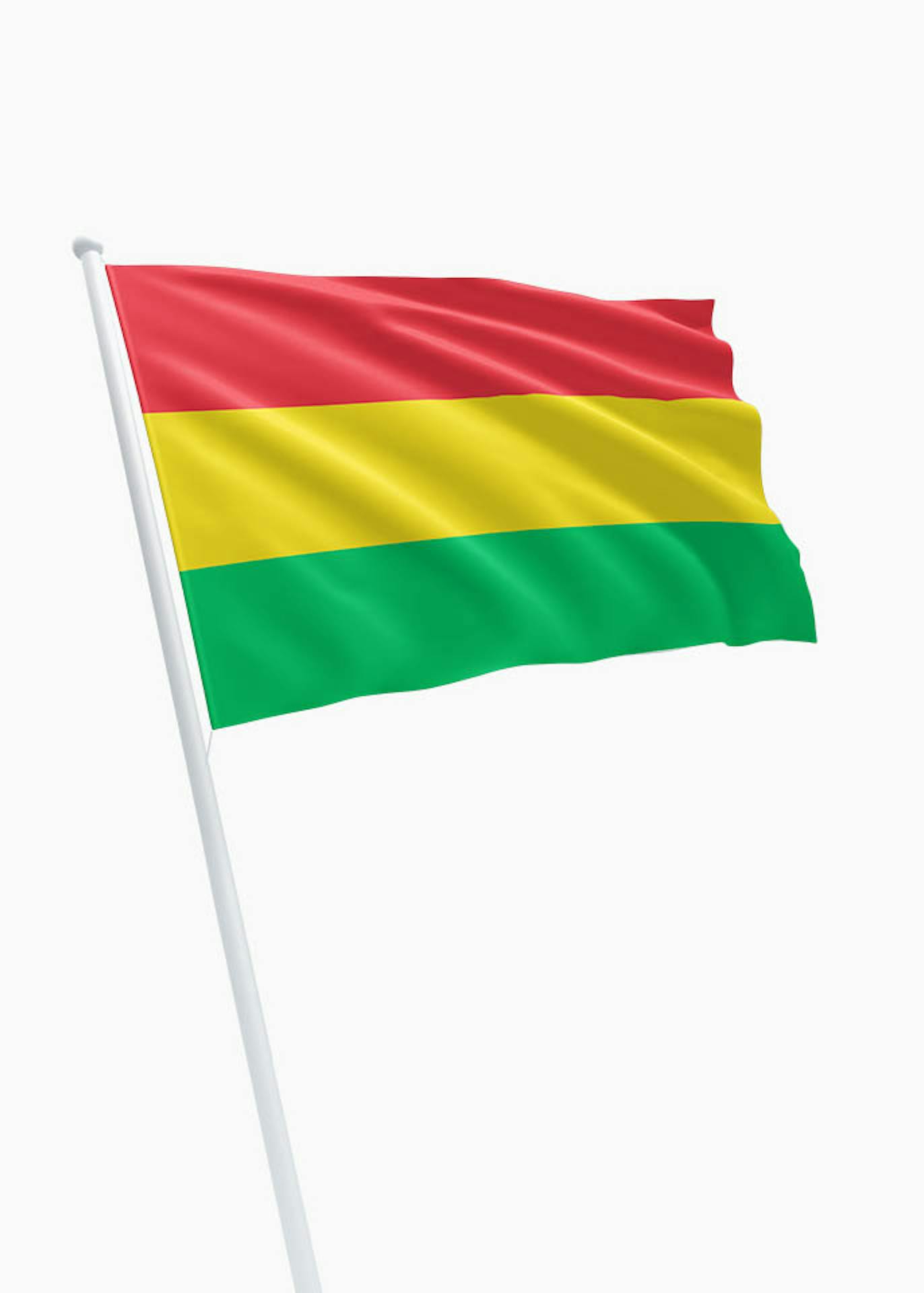 Diverse versus vrouw Carnavalsvlag kopen? Dé specialist in vlaggen! - DVC