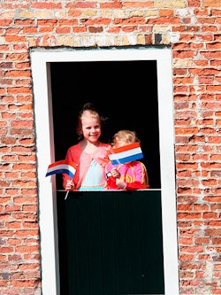Nederlandse zwaaivlag, set van 50 stuks, papier